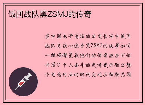 饭团战队黑ZSMJ的传奇