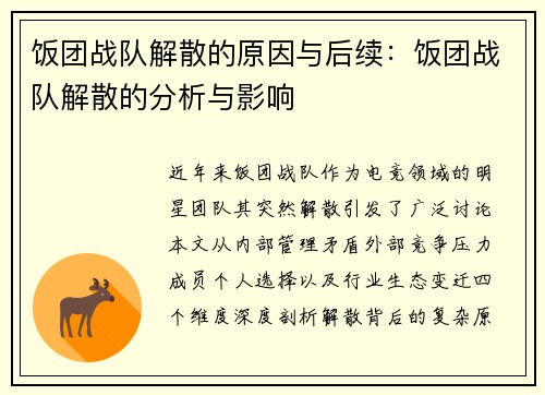饭团战队解散的原因与后续：饭团战队解散的分析与影响