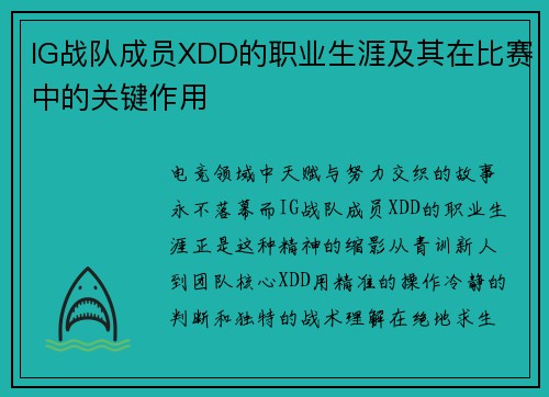 IG战队成员XDD的职业生涯及其在比赛中的关键作用